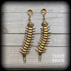 Brass centipede gauged earrings-Insect ear weights