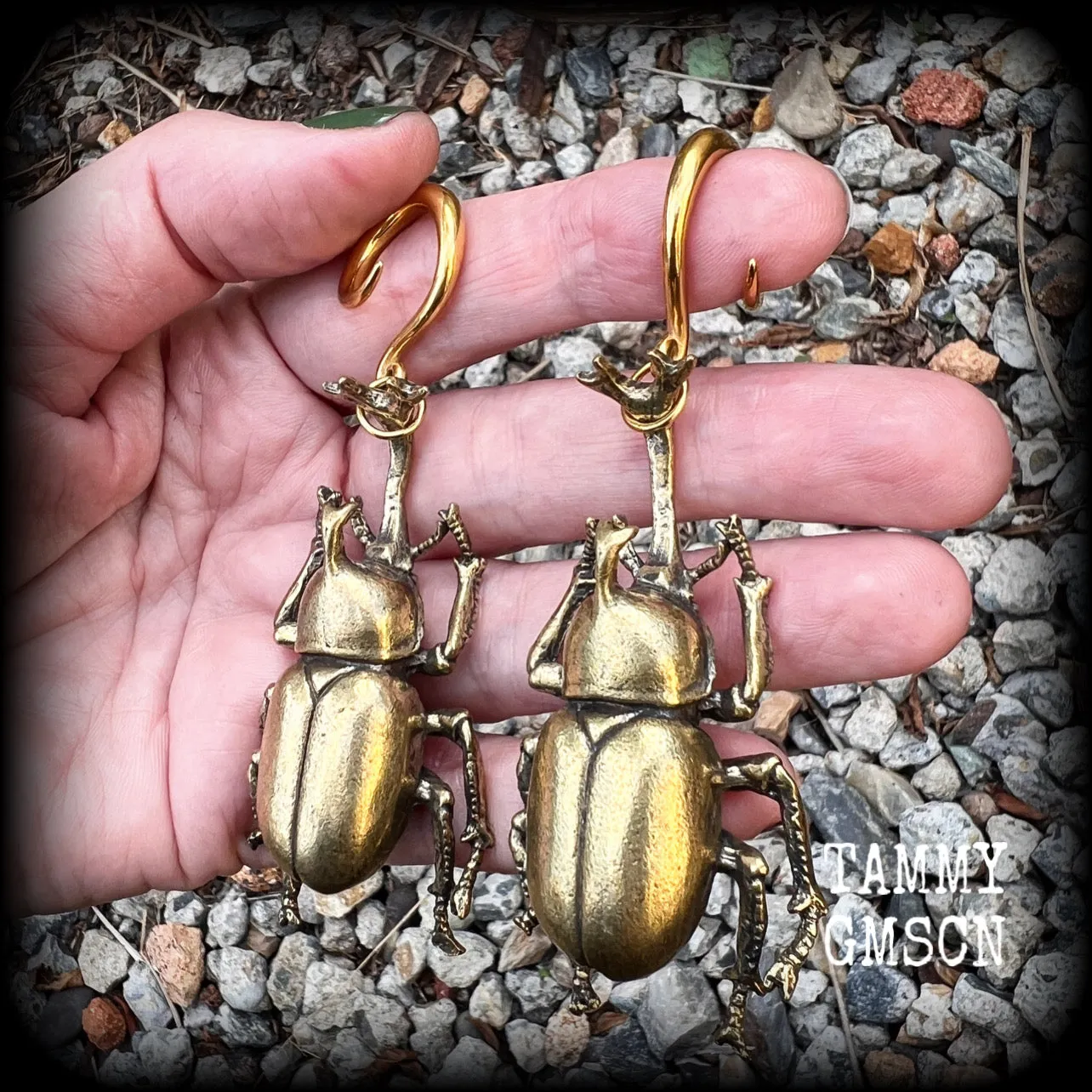 Brass rhinoceros elephant beetle gauged earrings-Insect ear weights