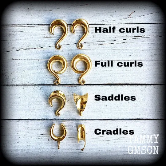 Mole cricket gauged earrings-Brass insect ear weights