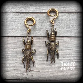 Mole cricket gauged earrings-Brass insect ear weights