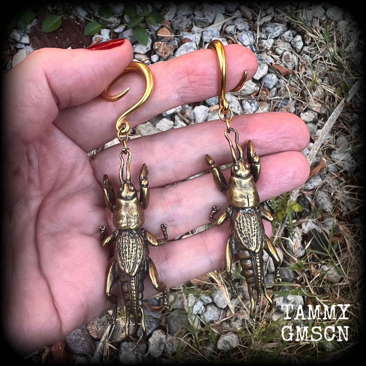 Mole cricket gauged earrings-Brass insect ear weights