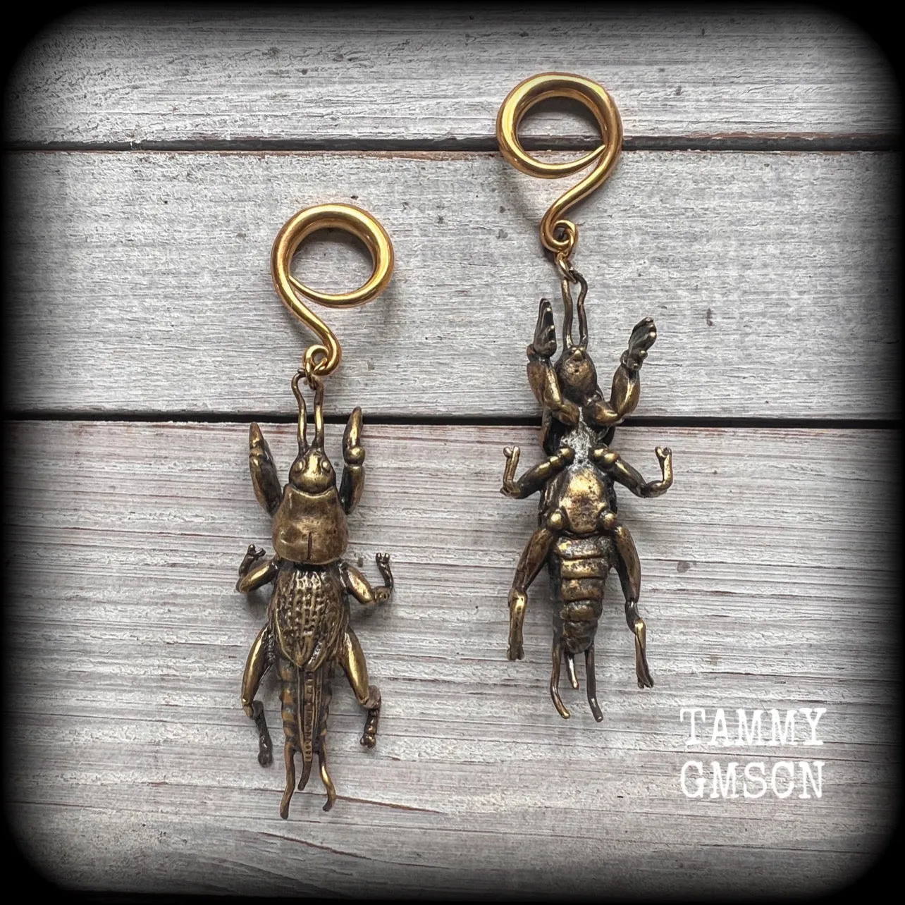 Mole cricket gauged earrings-Brass insect ear weights