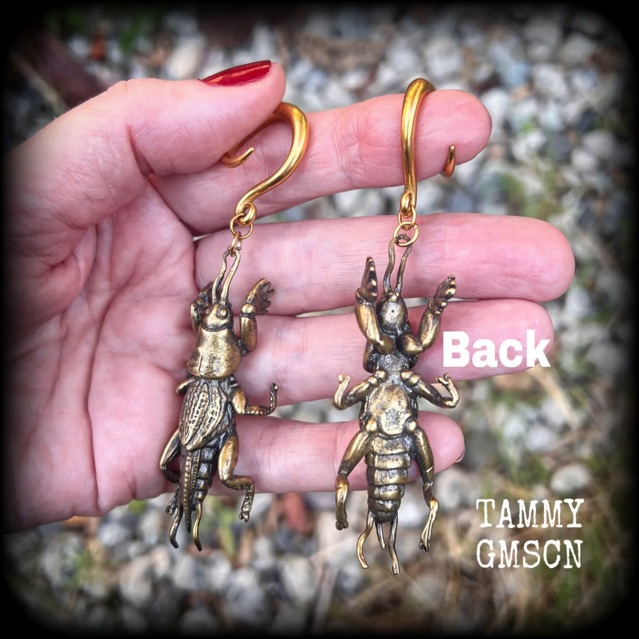 Mole cricket gauged earrings-Brass insect ear weights