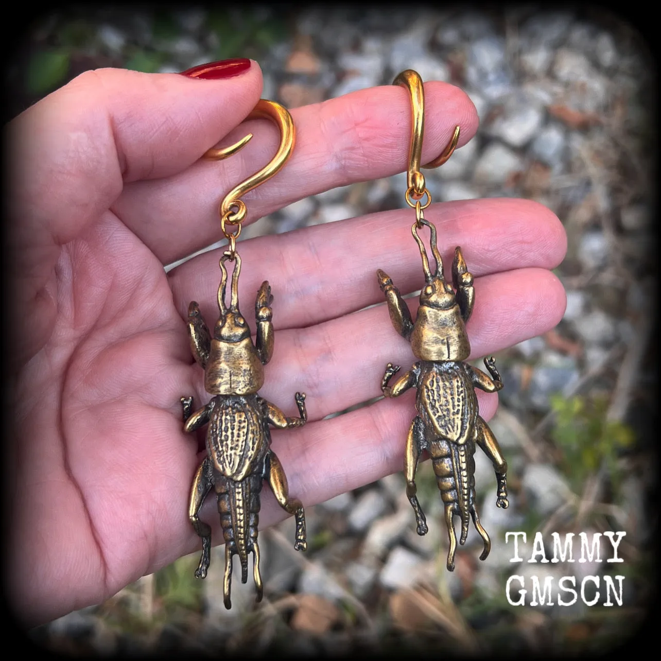 Mole cricket gauged earrings-Brass insect ear weights