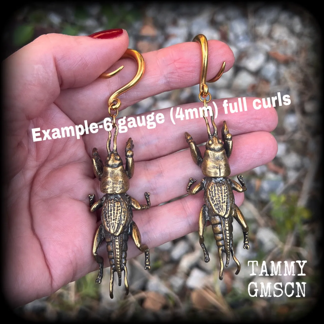 Mole cricket gauged earrings-Brass insect ear weights