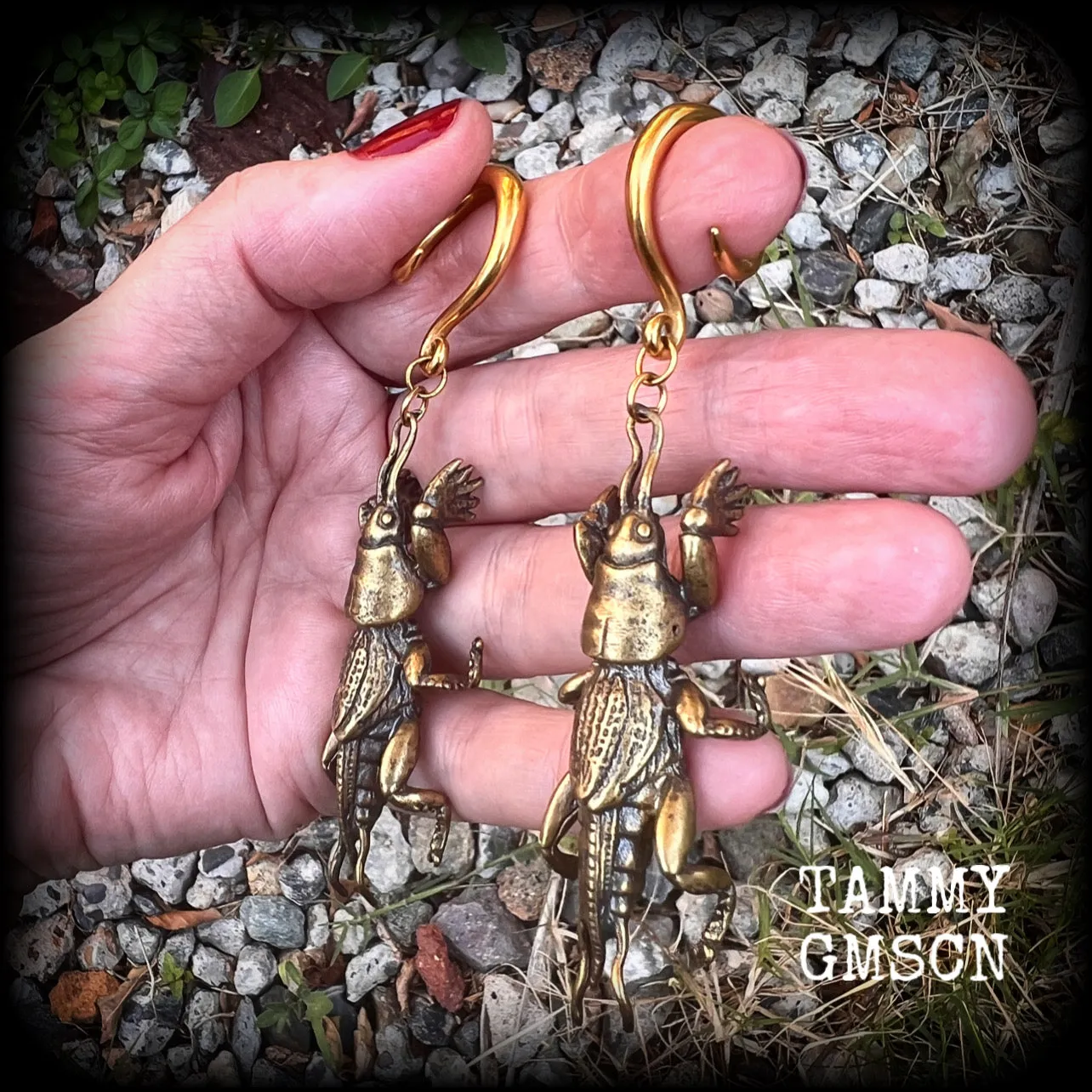 Mole cricket gauged earrings-Brass insect ear weights