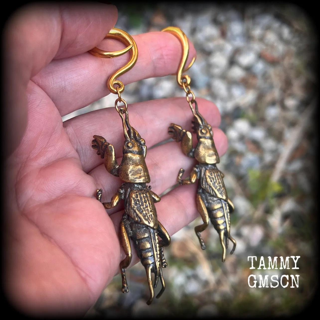 Mole cricket gauged earrings-Brass insect ear weights